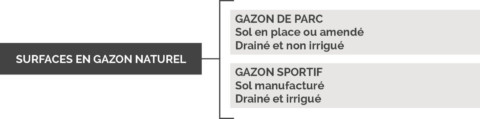 Tableau gazon naturel