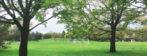 Terrain de soccer et arbres