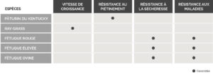 Tableau gazon naturel