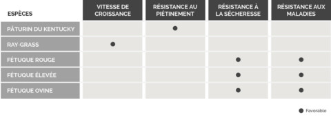 Tableau gazon naturel