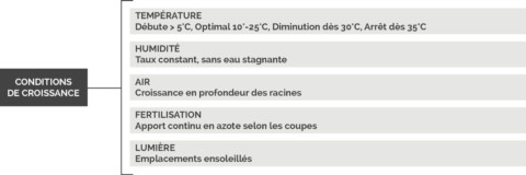 Tableau entretien gazon naturel