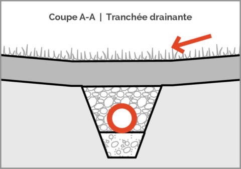 Plan gazon naturel