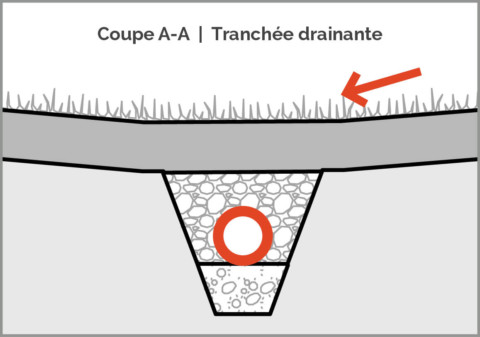 Plan gazon naturel