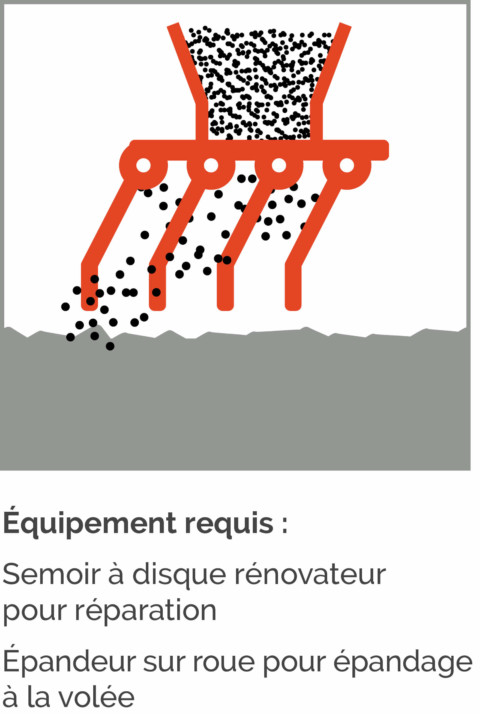 Plan entretien gazon naturel