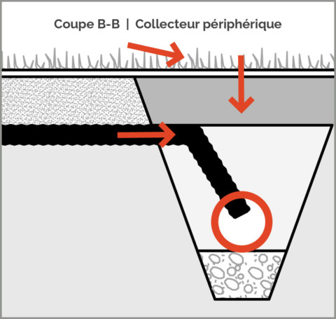 Plan gazon naturel