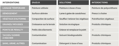 Tableau gazon synthétique