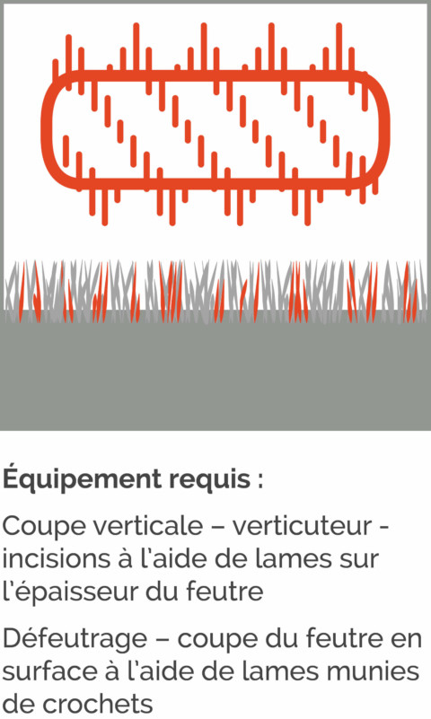 Plan entretien gazon naturel