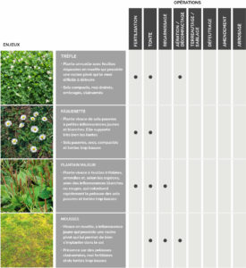 Tableau entretien gazon naturel